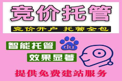 充值返点案例分析：实战操作技巧分享